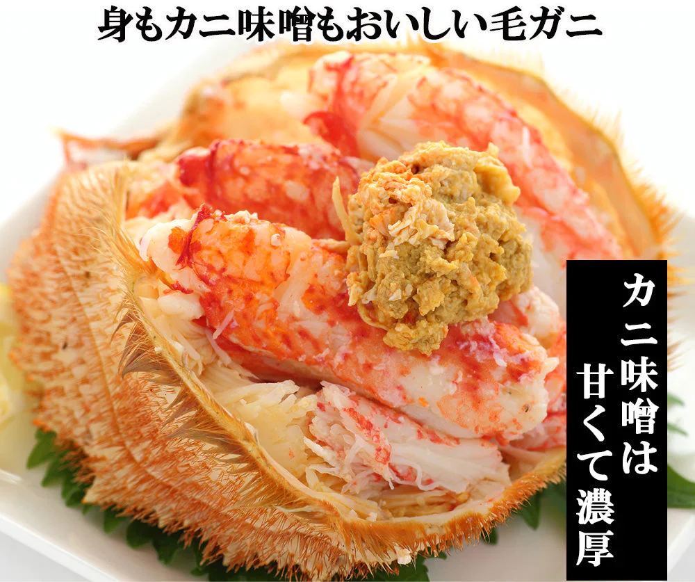 毛ガニ 毛蟹 訳あり 650g 1尾 かに姿 カニ味噌 かにしゃぶ 蟹 カニ かに 北海道産 shr-018