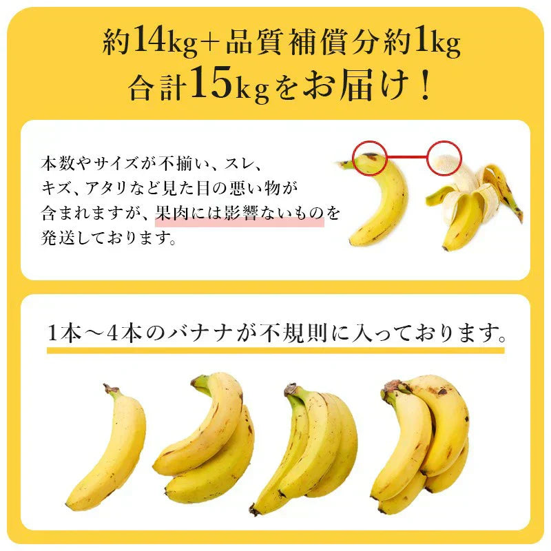 【バナナの王様！】完熟王 バナナ 15kg (約80-90本) ※14kg +1kg保証分 朝食 おやつ