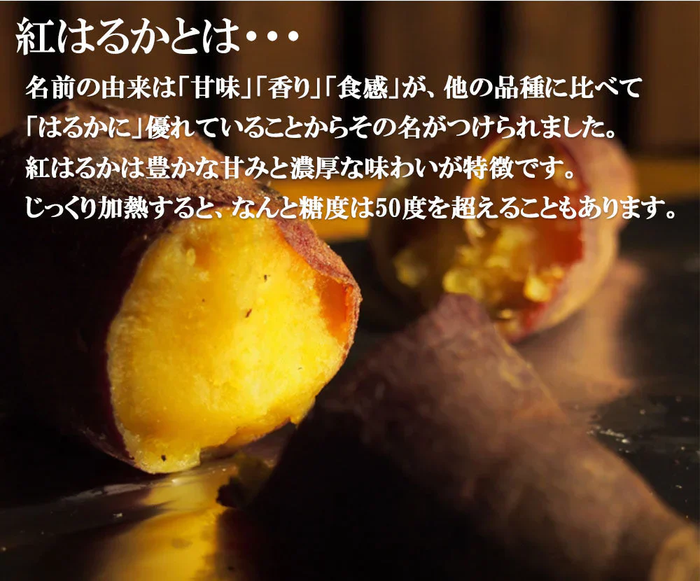 紅はるか さつまいも 5kg 産地直送 産直 土付き さつま芋 薩摩芋 焼きいも 焼き芋 石焼き芋 芋 いも イモ 鹿児島県産 FJK-000