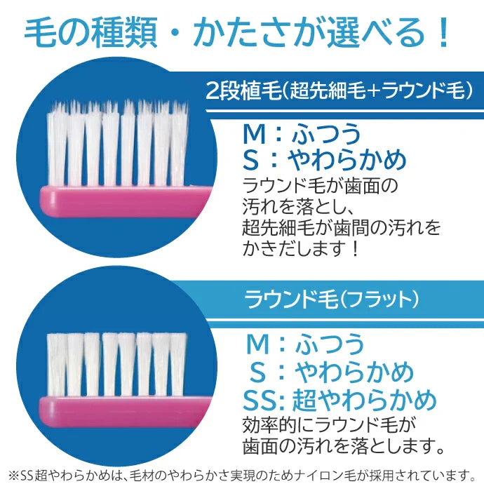 歯ブラシ Ciベーシック ／Sやわらかめ 5本入り【メール便送料無料】