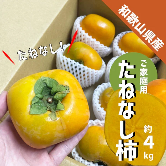 柿 和歌山県産 たねなし 約４kg (１6〜２4玉) ご家庭用 刀根 平たねなし 種無し 平核無柿 刀根 早生柿 送料無料 柿 カキ