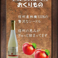 アルプス 信州林檎シードル 500ml 1本【ご注文は12本まで同梱可能】