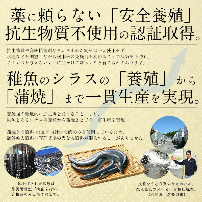 【超得ハイパーSALE】鰻 うなぎ 蒲焼き 国産 無頭 ウナギ 中サイズ 142g前後×3尾 国産うなぎ うなぎの蒲焼 蒲焼 冷凍うなぎ 冷凍 うなぎ蒲焼 国産鰻 鰻蒲焼 国産うなぎ蒲焼 旬の味覚 ウナギ蒲焼き 美味しいもの 記念日 お祝い 誕生日 贈り物