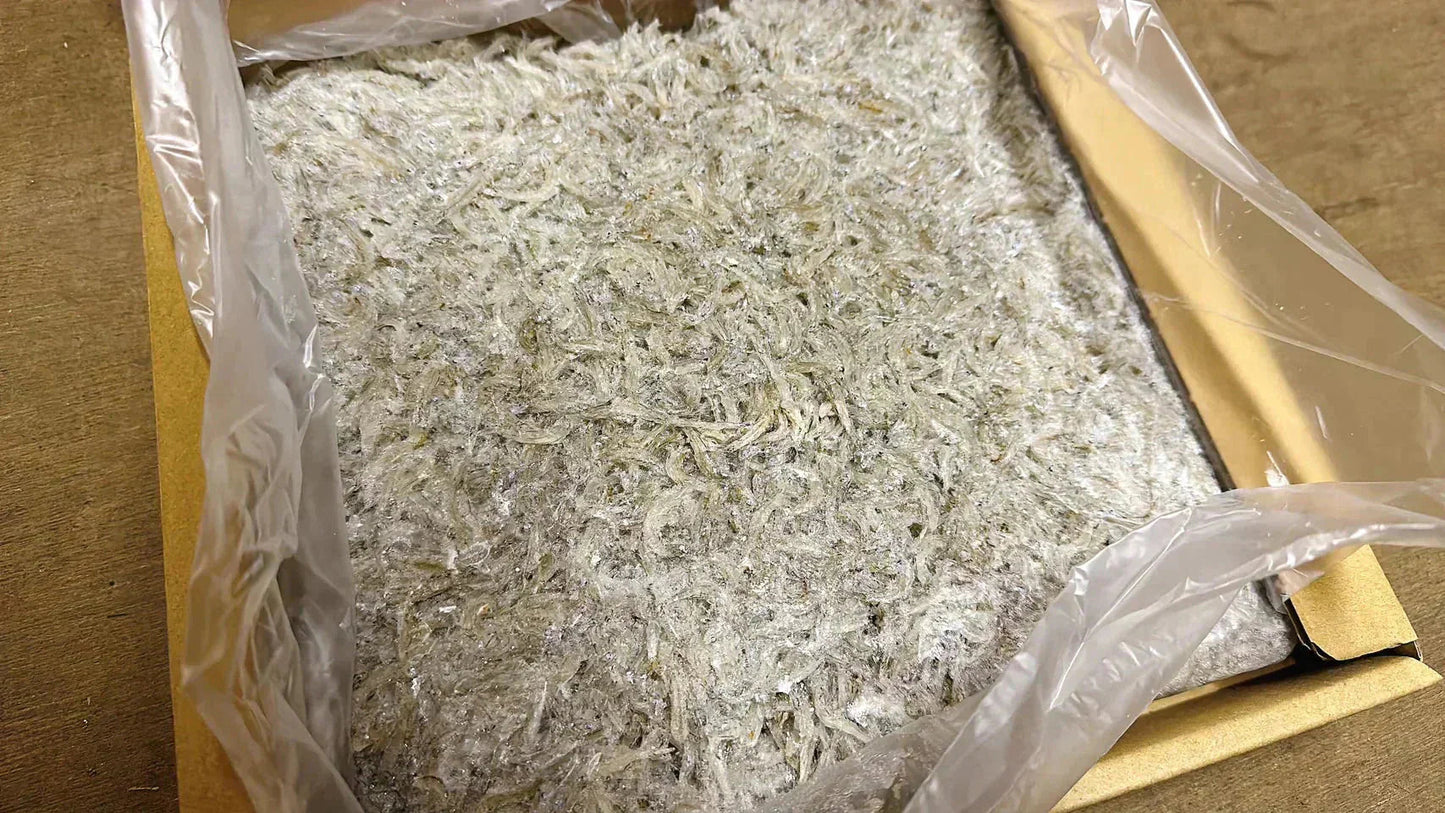 【夢の山盛り！】特選 釜揚げしらす 1kg [冷凍]/冷凍クール便