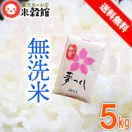 令和7年産 無洗米5kg 送料無料 福岡県民米 福岡県産 夢つくし 県内販売銘柄ダントツNo.1 九州産 送料込み
