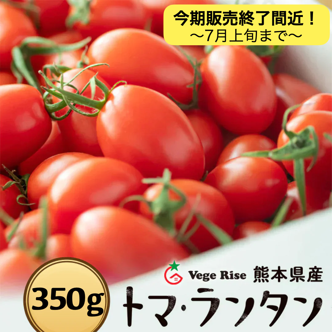 【今シーズン終了間近！】350g トマランタン 笑顔溢れる甘さ♪超濃厚ミニトマト！送料無料