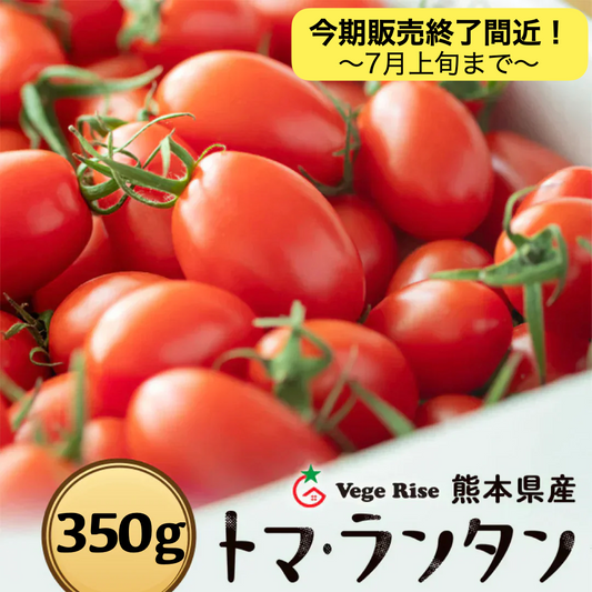 【今シーズン終了間近！】350g トマランタン 笑顔溢れる甘さ♪超濃厚ミニトマト！送料無料