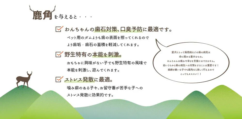 【送料無料】鹿角　Lサイズ　1本　ペット　歯石　口臭　ストレス解消　おもちゃ　お留守番　しか　ツノ