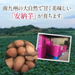 安納芋 5kg 安納いも 安納イモ 産地直送 産直 土付き さつまいも さつま芋 薩摩芋 焼きいも 焼き芋 南九州産 FJK-002