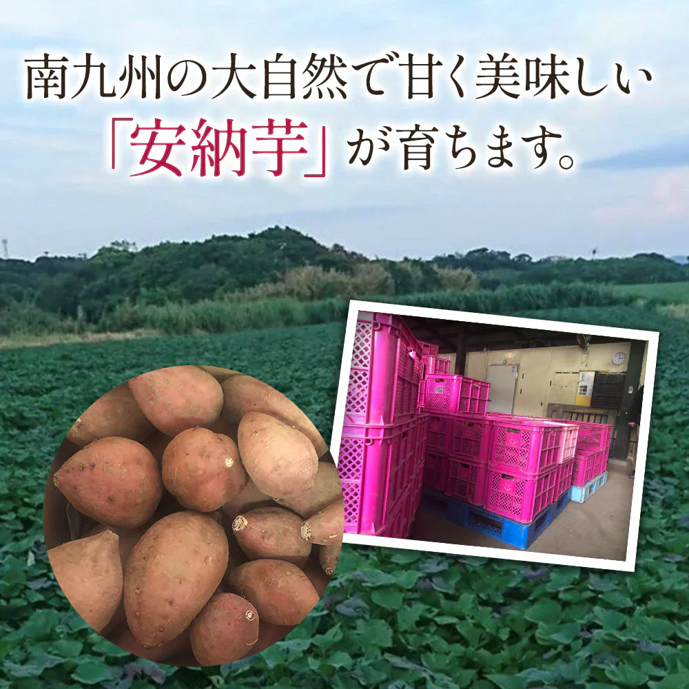 安納芋 5kg 安納いも 安納イモ 産地直送 産直 土付き さつまいも さつま芋 薩摩芋 焼きいも 焼き芋 南九州産 FJK-002