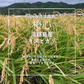 玄米10kg🌾淡路島からの新米キヌヒカリ玄米10kg ❣️令和7年度産新米