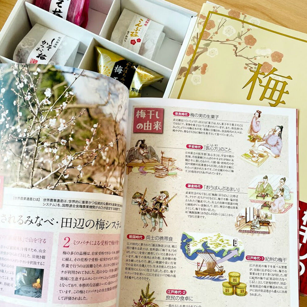 梅本【お届け不可地域：北海道・沖縄・離島】