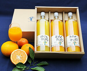 和歌山県特産品 100%ピュアジュース750ml 3本ギフトセット(みかんジュース他)【お届け先不可地域：北海道・沖縄・離島】【プレミア和歌山物産展】