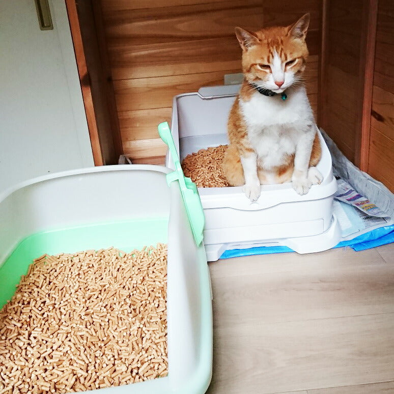 森のねこトイレ くずれるタイプ【お届け不可地域：北海道・沖縄・離島】【プレミア和歌山物産展】