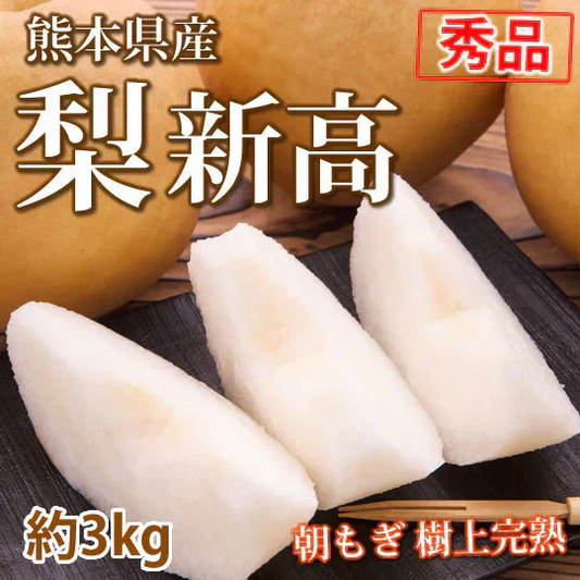 梨 新高 送料無料 秀品 約3kg 5〜8玉 熊本県産 お取り寄せ フルーツ ナシ なし 豊水 秋月
