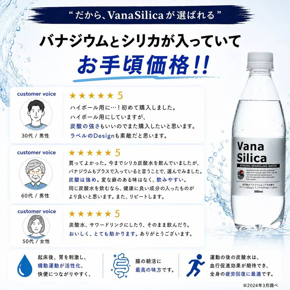 【1ケース】 富士山のバナジウム＆シリカ 強炭酸水 VanaSilica（バナシリカ） 500ml 24本 プレーン