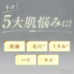 ビタミンｃ誘導体 美容液 ビタミンc美容液 Cエッセンス VC5+PLUS 10ml 高濃度 5％ メB