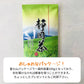 訳あり静岡茶100g×6 茎入茶葉 お茶 お茶の葉 日本茶 緑茶 一番茶 カテキン緑茶 深蒸し茶 お徳用 業務用【エコ得】