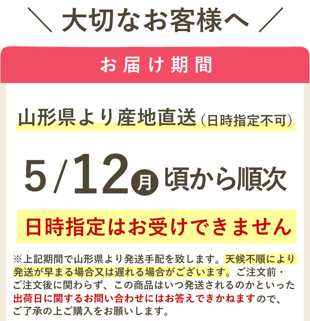 【遅れてゴメン母の日ギフト順次発送】さくらんぼ佐藤錦Ｍ玉ダイヤパック詰め100g2個詰めカーネーション1本と母の日カード付き山形県より直送