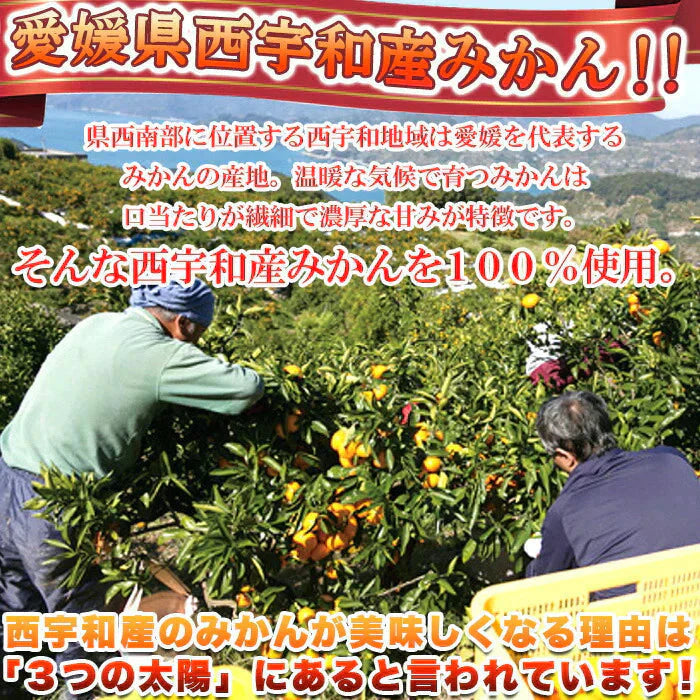 えひめのあまーい 冷凍 みかん どっさり21個(7個入×3袋・約900ー1000g)愛媛県西宇和産みかん100%使用!