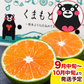 【大容量】熊本県産 訳あり 小玉 みかん 9kg 熊本 送料無料 小玉みかん ミカン フルーツ お取り寄せ 柑橘 フルーツ 果物   《9月中旬-10月中旬頃より発送予定》