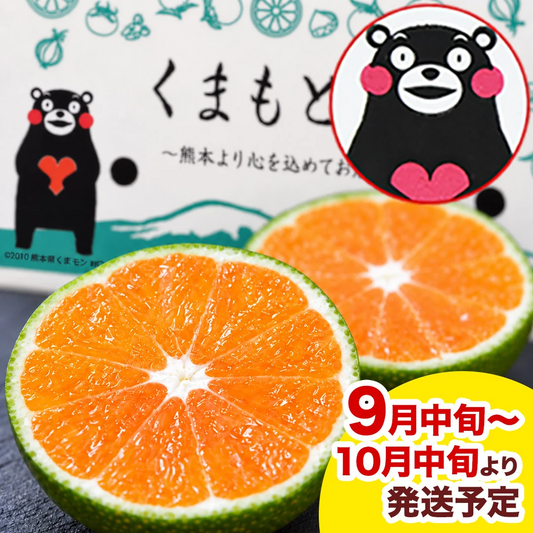 【大容量】熊本県産 訳あり 小玉 みかん 9kg 熊本 送料無料 小玉みかん ミカン フルーツ お取り寄せ 柑橘 フルーツ 果物   《9月中旬-10月中旬頃より発送予定》