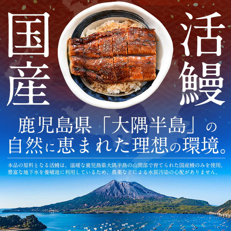 うなぎ 鰻 蒲焼き 国産 鹿児島県産 3種セット 無頭 165g前後×1尾 ウナギ ハーフカット 約80g 刻みうなぎ 50g［送料無料］ 国産鰻 うなぎの蒲焼 蒲焼 うなぎ蒲焼 国産うなぎ 蒲焼 贈り物 食品ギフト 刻み鰻 きざみうなぎ 母の日 プレゼント ギフト  母の日思いの 健康 実用的