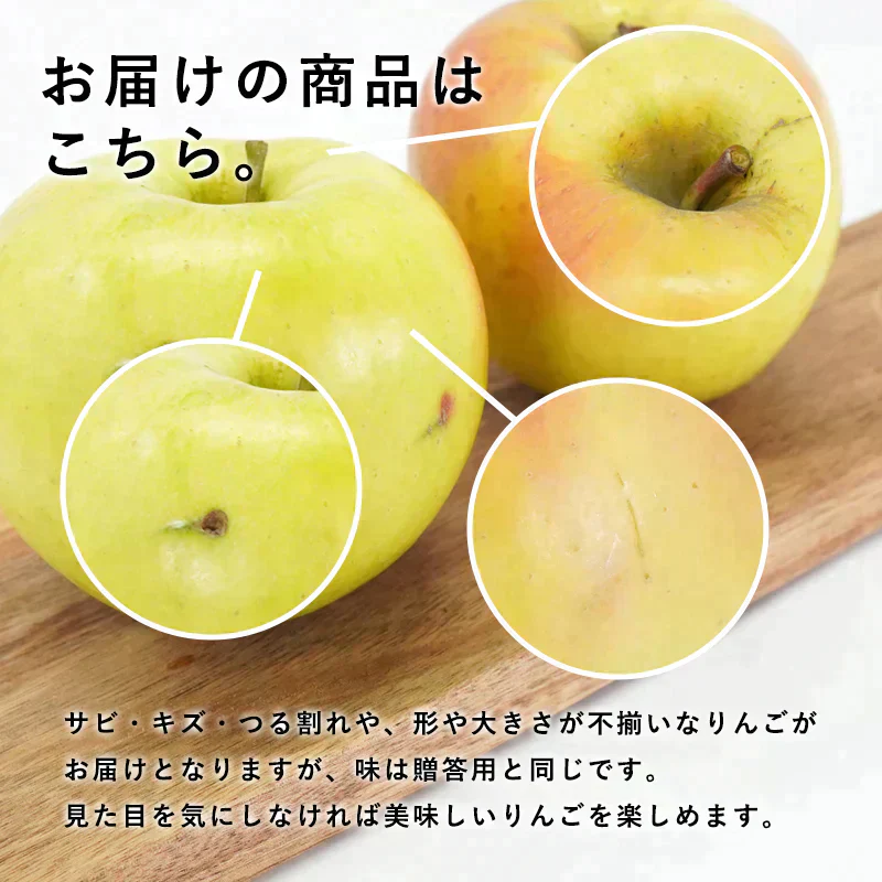 【ただいま発送中！】青森県産 訳あり ぐんま名月 約5kg ※11月中旬頃からご予約順に発送予定※ 家庭用 青森 りんご 林檎 群馬名月 果物 フルーツ 送料無料 ks
