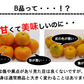 みかん 訳あり 送料無料 5kg B品 愛媛みかん 温州みかん ミカン 蜜柑 安い 甘い 箱買い 産地直送 愛媛県産 YDF-001