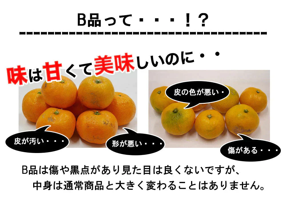みかん 訳あり 送料無料 5kg B品 愛媛みかん 温州みかん ミカン 蜜柑 安い 甘い 箱買い 産地直送 愛媛県産 YDF-001