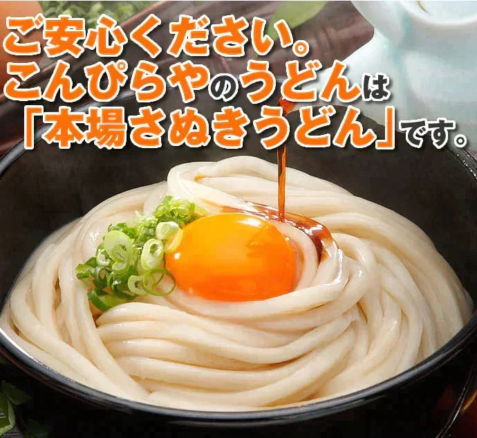【グルメ大賞受賞】【訳あり】半生讃岐うどん 約10人前【半生麺】【並麺】【特産品・ご当地特集】