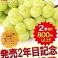福島県産 秀品 シャインマスカット 大房２房セット