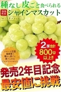 福島県産 秀品 シャインマスカット 大房２房セット