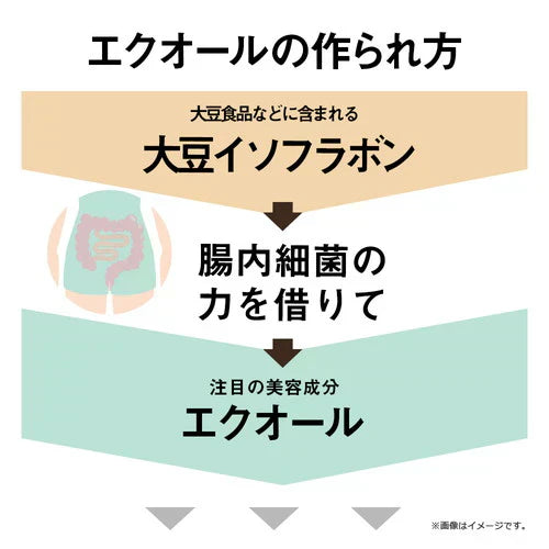 ガセリ菌エクオール まとめ買い 2個セットガセリ菌 善玉菌 乳酸菌 腸活 菌活 エクオール サプリメント 大豆イソフラボン サプリメント 大容量 お徳用 健康 美容 RoyalBS 日本製