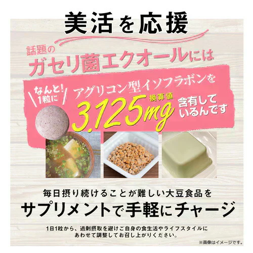 ガセリ菌エクオール まとめ買い 2個セット ガセリ菌 善玉菌 乳酸菌 腸活 菌活 エクオール サプリメント 大豆イソフラボン サプリメント 大容量 お徳用 健康 美容 RoyalBS 日本製