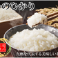 ひのひかり 米 計20kg(10kg×2) 令和6年産 送料無料 新米 熊本県産 お米 白米 玄米 コシヒカリ 森のくまさん