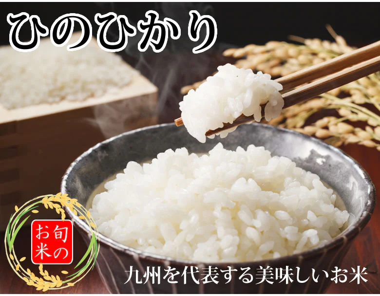 ひのひかり 米 計20kg(10kg×2) 令和6年産 送料無料 新米 熊本県産 お米 白米 玄米 コシヒカリ 森のくまさん