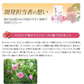 【リフレ 薔薇の滴 62粒×お得３袋セット】（約3ヶ月分）高級ダマスクローズオイル100％使用 薔薇の滴 ローズサプリ ばらのしずく バラの滴 フレグランスサプリ 吐息は薔薇 エチケット系サプリ 口臭予防 フレグランス サプリメント 栄養機能食品 ビタミンE サプリメント エチケット 口が臭い ブレスケア ローズ ダマスクローズオイル ブルガリア産 ローズサプリ バラのサプリメント