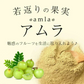 【ご注文殺到につき入荷待ち】 アムラパウダー 無添加 食用 オーガニック 100g 有機 JAS認証 粉末 アムラ 100% パウダー グーズベリー スリランカ ヘアケア 美髪 薄毛 美肌 栄養 健康 サプリメント
