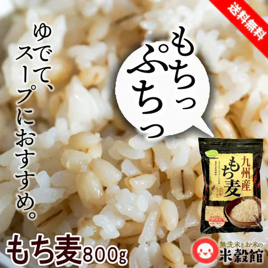 九州産もち麦 もちむぎ 800g 送料無料 大麦 食物繊維たっぷり カレーにぴったり