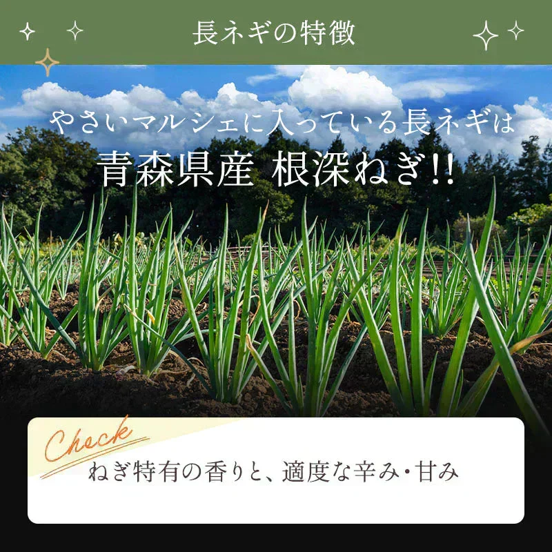 乾燥野菜 100g×1袋【青森のねぎ香るミックス】やさいマルシェ 無添加 ブドウ糖不使用 簡単 無駄なし 時短 青森産 アウトドア 災害常備菜 長期保存 食物繊維 国産