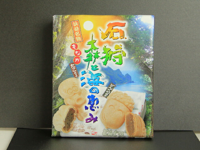 北海道銘菓 和菓子　森と海の恵み（10個入）