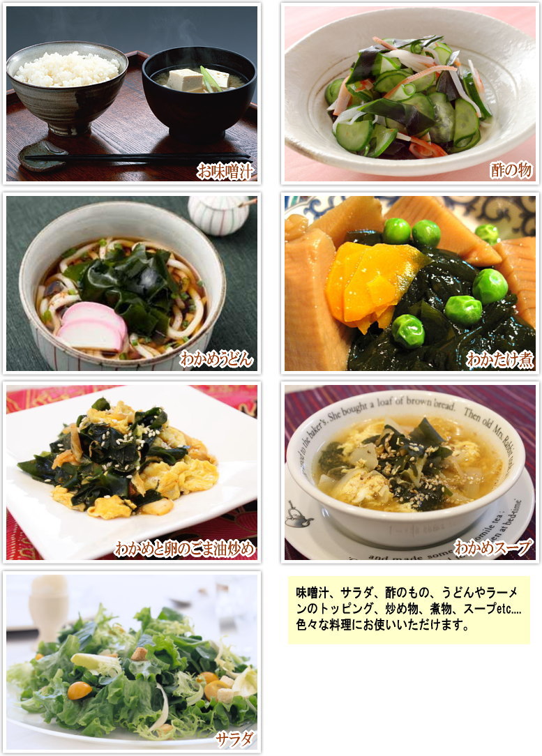 【3人シェア買いでお得】若布 カットわかめ 40g×2袋 国産 乾燥 お試しセット 送料無料