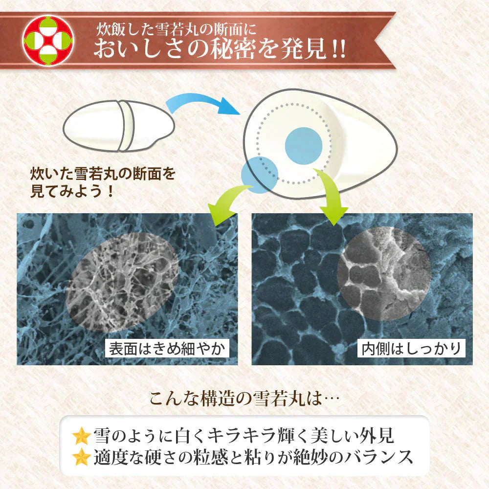 雪若丸 玄米 2kg 山形県産 令和7年産 送料無料 米 2キロ こめ コメ お米 新米 お米2kg 雪若丸2kg 雪若丸2キロ