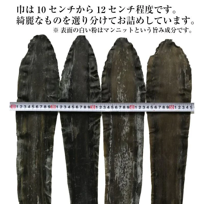 昆布 羅臼昆布 昆布だし 出汁昆布 国産100％ 北海道 羅臼産 天然 切出し昆布 125g