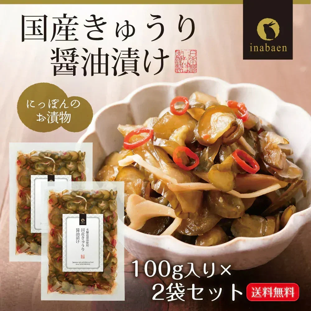 【2個セット】日本橋いなば園 国産きゅうり醤油漬け 100g メール便送料無料