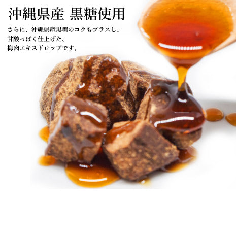 【2袋】和歌山県産 南高梅使用 梅肉エキスドロップ 63g / 梅干し 黒糖 飴 アメ のど飴 和歌山県産 南高梅 特産品 国産