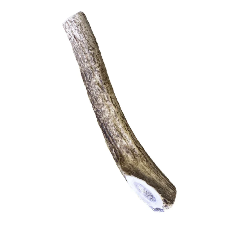 Deerhorn【Lサイズ】 北海道産 鹿角 ペット 犬 おもちゃ 大型犬 プレゼント いたずら防止 おやつ デンタルケア ガム 犬用 鹿の角 天然 無添加 ゴールデンレトリーバー ドーベルマン ダルメシアン