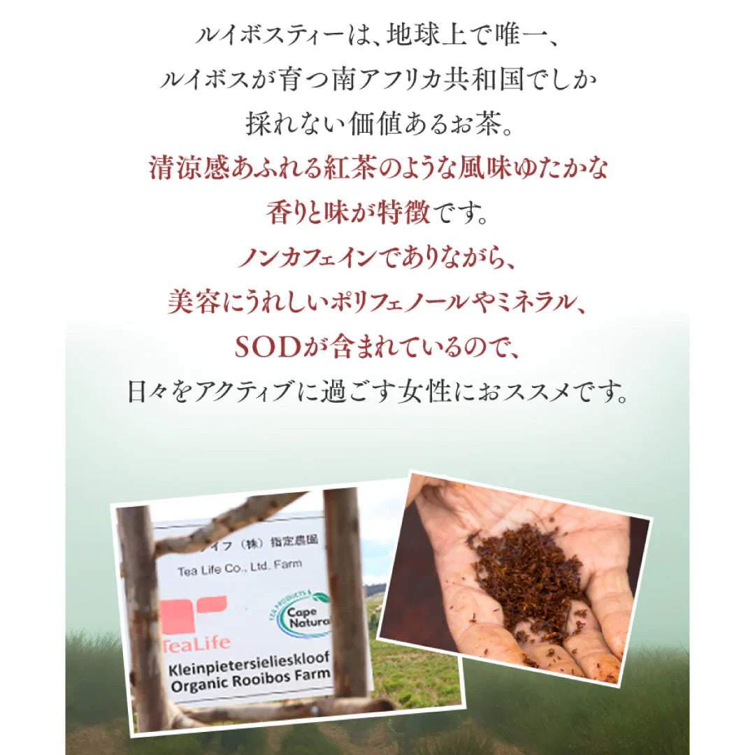 プレミアムオーガニックルイボスティー ポット用７個入（ ルイボス ルイボス茶 水出し ティーバッグ ティーパック ハーブティー 美容 お茶 ノンカフェイン ）【販売終了】