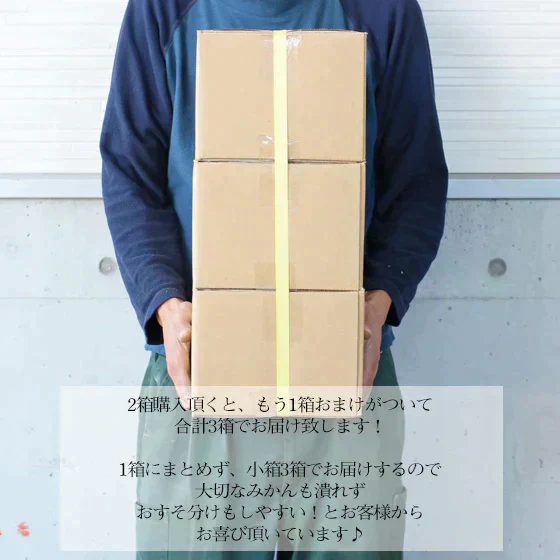 みかん　吉田みかん　２ｋｇ　ｆ吉０２　家庭用　愛媛　吉田　果物　フルーツ　柑橘　ミカン　蜜柑　　訳あり　送料無料